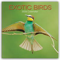Cover-Abbildung für Exotic Birds – Exotische Vögel 2026 – 16-Monatskalender (99999---978-1-83622-371-9)