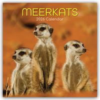 Cover-Abbildung für Meerkats – Erdmännchen 2026 – 16-Monatskalender (99999---978-1-83622-390-0)