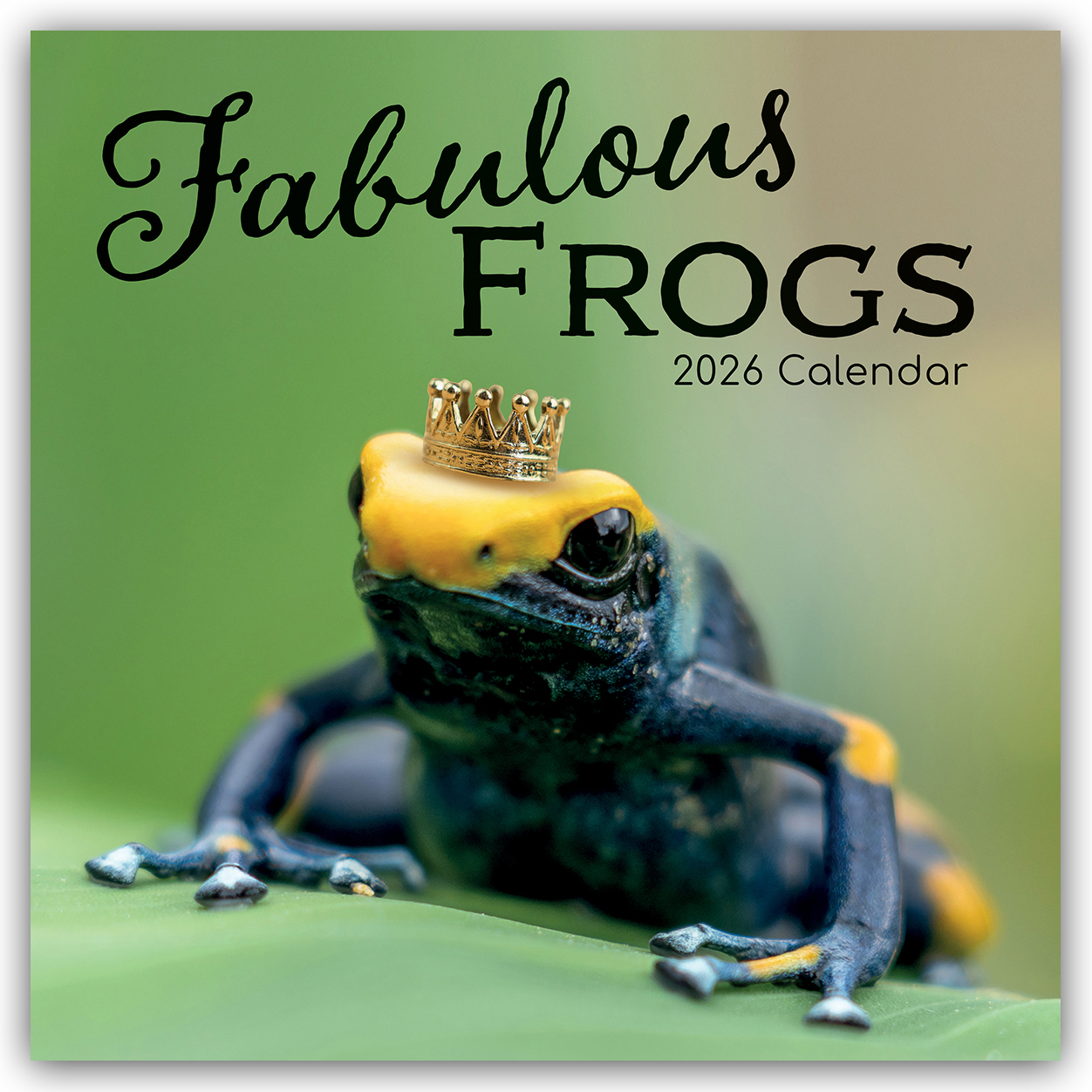 Cover-Abbildung für Fabulous Frogs – Fabelhafte Frösche 2026 – 16-Monatskalender (99999---978-1-83622-404-4)