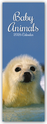 Cover-Abbildung für Baby Animals – Tierkinder – Slimline-Kalender 2026 (99999---978-1-83622-730-4)