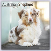 Australian Shepherd - Australische Schäferhunde 2023- 16-Monatskalender