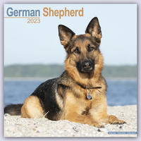 German Shepherd - Deutsche Schäferhunde 2023 - 16-Monatskalender