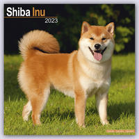 Shiba Inu 2023 - 16-Monatskalender