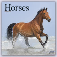 Horses - Pferde 2023 - 16-Monatskalender