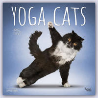 Yoga Cats - Yoga-Katzen 2023 - 16-Monatskalender