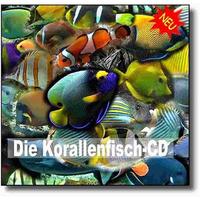 Die Korallenfisch-CD