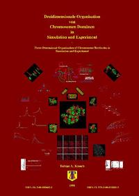 Dreidimensionale Organisation von Chromosomen-Domänen in Simulation und Experiment