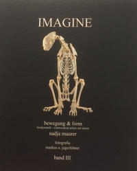 IMAGINE band 3