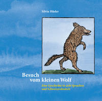 Besuch vom kleinen Wolf / Audio-CD