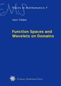 Function Spaces and Wavelets on Domains