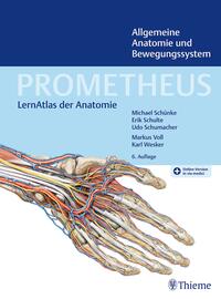 Neck and Internal Organs (Thieme Atlas of Anatomy) Schuenke， Michael? Schulte， Erik? Schumacher， Udo; Rude， Juergen Neck and Internal Organs (THIEME Atlas of Anatomy) by Udo