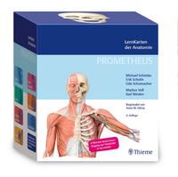 Neck and Internal Organs (Thieme Atlas of Anatomy) Schuenke， Michael? Schulte， Erik? Schumacher， Udo; Rude， Juergen Internal Organs (THIEME Atlas of Anatomy) (THIEME Atlas of