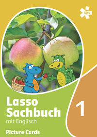 Lasso Sachbuch mit Englisch 1. Für den integrativen Englischunterricht, Picture Cards