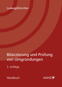 Bilanzierung und Prüfung von Umgründungen