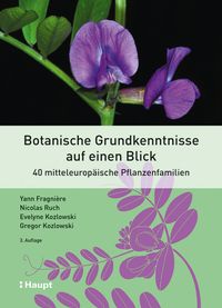 rosa gummibaum Ficus 'Belize' main image 0