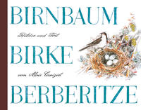 Birnbaum, Birke, Berberitze, Mini