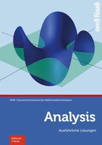 Analysis – Ausführliche Lösungen