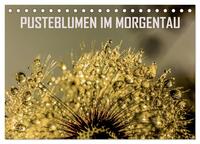 Pusteblumen im Morgentau (Tischkalender 2024 DIN A5 quer), CALVENDO Monatskalender