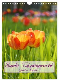 Bunte Tulpenpracht (Wandkalender 2024 DIN A4 hoch), CALVENDO Monatskalender