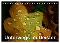 Unterwegs im Deister (Tischkalender 2024 DIN A5 quer), CALVENDO Monatskalender