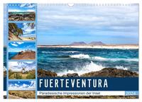 FUERTEVENTURA Paradiesische Impressionen der Insel (Wandkalender 2024 DIN A3 quer), CALVENDO Monatskalender