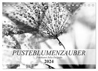 Pusteblumenzauber in schwarzweiß (Tischkalender 2024 DIN A5 quer), CALVENDO Monatskalender