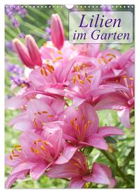 Lilien im Garten (Wandkalender 2024 DIN A3 hoch), CALVENDO Monatskalender