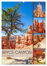 BRYCE CANYON Natur Pur (Wandkalender 2024 DIN A2 hoch), CALVENDO Monatskalender
