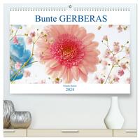 Bunte Gerberas (hochwertiger Premium Wandkalender 2024 DIN A2 quer), Kunstdruck in Hochglanz