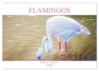 Flamingos - imposante Schönheiten (Wandkalender 2024 DIN A2 quer), CALVENDO Monatskalender