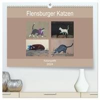 Flensburger Katzen (hochwertiger Premium Wandkalender 2024 DIN A2 quer), Kunstdruck in Hochglanz