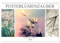 PusteblumenZauber (Tischkalender 2024 DIN A5 quer), CALVENDO Monatskalender