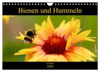 Bienen und Hummeln in Aktion (Wandkalender 2024 DIN A4 quer), CALVENDO Monatskalender
