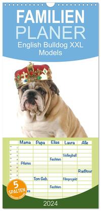 Familienplaner 2024 - English Bulldog XXL Models mit 5 Spalten (Wandkalender, 21 x 45 cm) CALVENDO