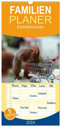 Familienplaner 2024 - Spaß mit Eichhörnchen! mit 5 Spalten (Wandkalender, 21 x 45 cm) CALVENDO