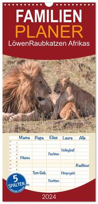 Familienplaner 2024 - Löwen - Raubkatzen Afrikas mit 5 Spalten (Wandkalender, 21 x 45 cm) CALVENDO
