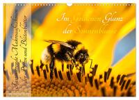 Im Goldenen Glanz der Sonnenblume (Wandkalender 2024 DIN A3 quer), CALVENDO Monatskalender