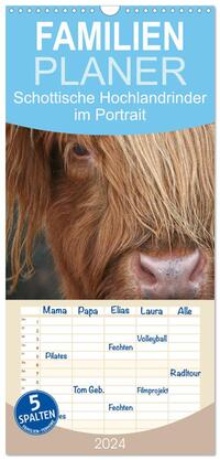 Familienplaner 2024 - Schottische Hochlandrinder - Highland Cattle im Portrait mit 5 Spalten (Wandkalender, 21 x 45 cm) CALVENDO