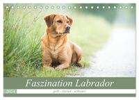 Faszination Labrador - gelb, foxred, schwarz (Tischkalender 2024 DIN A5 quer), CALVENDO Monatskalender
