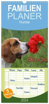 Familienplaner 2024 - Beagle mit 5 Spalten (Wandkalender, 21 x 45 cm) CALVENDO
