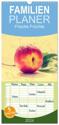 Familienplaner 2024 - Frische Früchte mit 5 Spalten (Wandkalender, 21 x 45 cm) CALVENDO