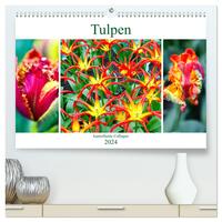 Tulpen - kunterbunte Collagen (hochwertiger Premium Wandkalender 2024 DIN A2 quer), Kunstdruck in Hochglanz