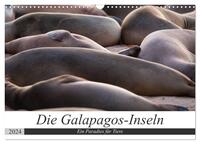 Galapagos-Inseln - Ein Paradies für Tiere (Wandkalender 2024 DIN A3 quer), CALVENDO Monatskalender