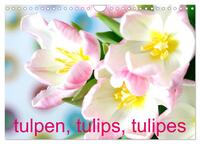 Tulpen, Tulips, Tulipes (Wandkalender 2024 DIN A4 quer), CALVENDO Monatskalender