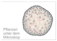 Pflanzen unter dem Mikroskop (Wandkalender 2024 DIN A2 quer), CALVENDO Monatskalender