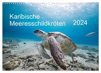 Karibische Meeresschildkröten (Wandkalender 2024 DIN A3 quer), CALVENDO Monatskalender