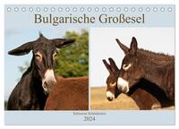 Bulgarische Großesel - Schwarze Schönheiten (Tischkalender 2024 DIN A5 quer), CALVENDO Monatskalender