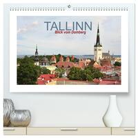 Tallinn Blick vom Domberg (hochwertiger Premium Wandkalender 2024 DIN A2 quer), Kunstdruck in Hochglanz
