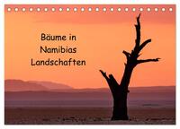 Bäume in Namibias Landschaften (Tischkalender 2024 DIN A5 quer), CALVENDO Monatskalender
