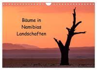 Bäume in Namibias Landschaften (Wandkalender 2024 DIN A4 quer), CALVENDO Monatskalender
